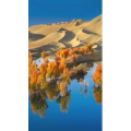 高清风景119