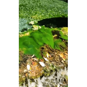 高清风景120