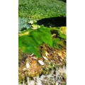 高清风景120