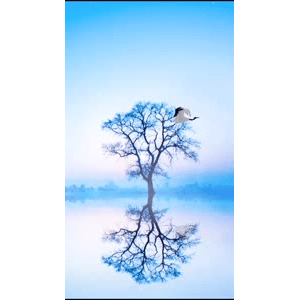 高清风景121