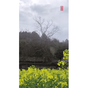 高清风景125