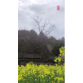 高清风景125