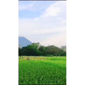 高清风景131