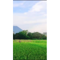高清风景131