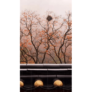 高清风景132