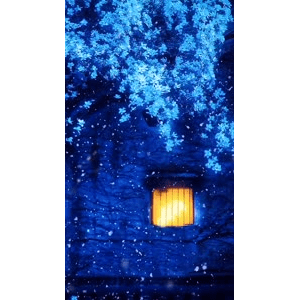 高清风景134