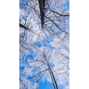 高清风景136