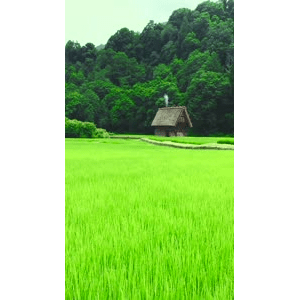 高清风景140