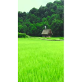 高清风景140