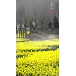 高清风景155