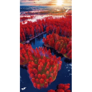 高清风景157