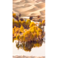高清风景162