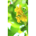 高清风景166