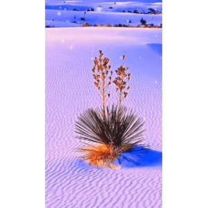 高清风景167