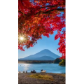 高清风景172
