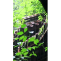 高清风景173