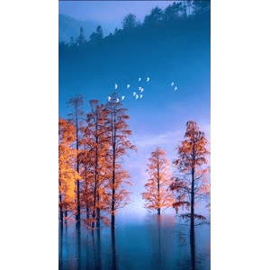 高清风景179
