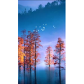 高清风景179