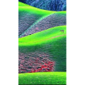 高清风景180