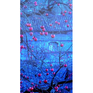高清风景184