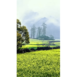 高清风景190