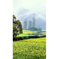 高清风景190