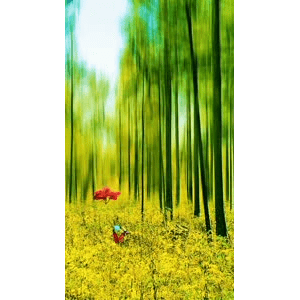 高清风景191