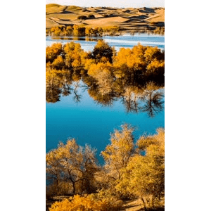 高清风景196