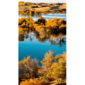 高清风景196