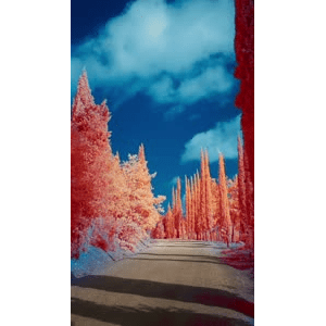 高清风景201