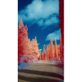 高清风景201