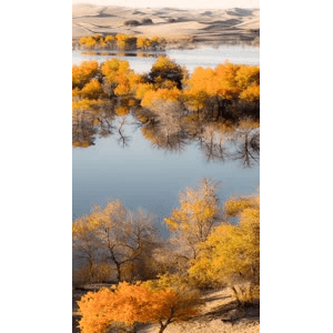 高清风景205