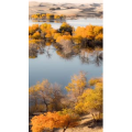 高清风景205