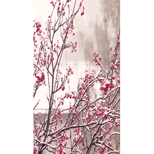 高清风景216