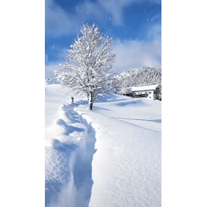 高清风景233