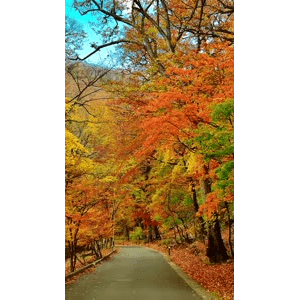 高清风景234