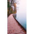 高清风景240