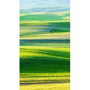 高清风景242