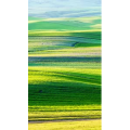 高清风景242