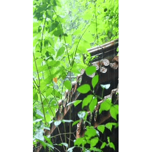 高清风景247