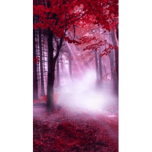 高清风景249