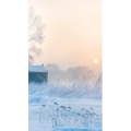 高清风景250