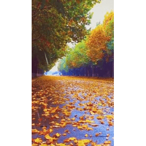 高清风景259