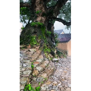 高清风景262