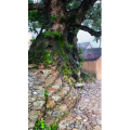 高清风景262