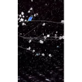 高清风景265