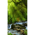 高清风景272