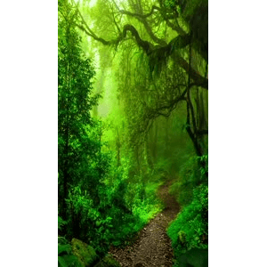 高清风景280