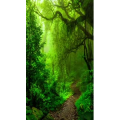 高清风景280