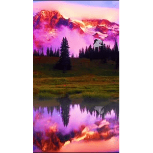 高清风景281